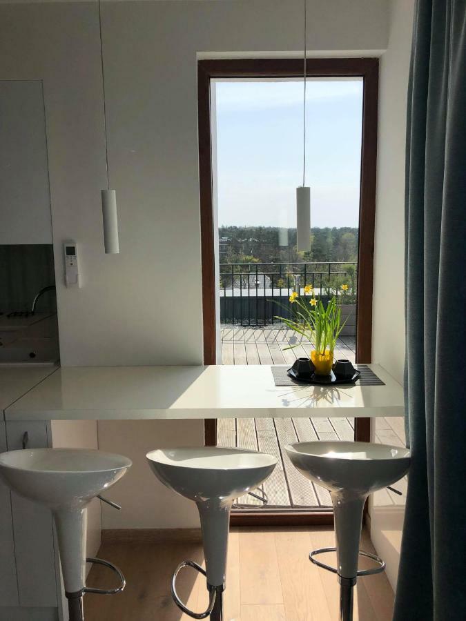 Sea View Penthouse Terrace Palanga Old Town Lejlighed Eksteriør billede